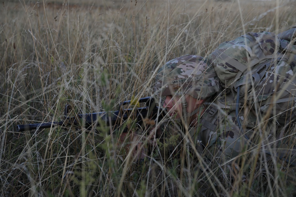 U.S. Army Europe and Africa Best Squad Competition Day 2