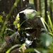 Soldiers perform on medical lanes during Day Three of the 2022 USAREUR-AF Best Squad Competition