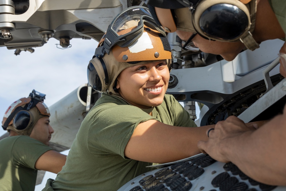 HMH -461 Marines do routine maintenance on CH-53K King Stallions