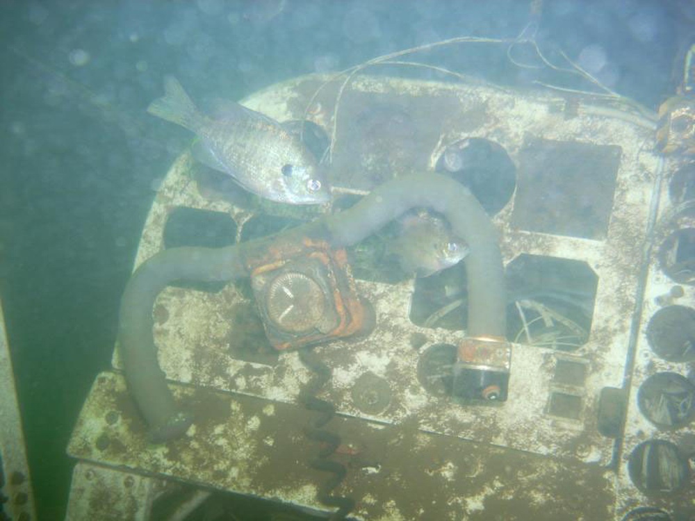 DVIDS - News - Recreating below the surface – Lake Tenkiller's hidden  treasure.