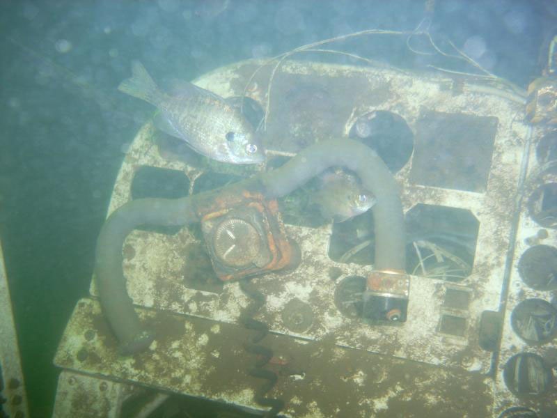 Underwater dive picture