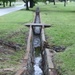 Protecting our storm water