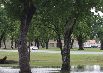 Protecting our storm water