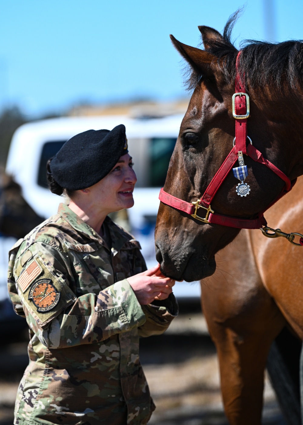 Vandenberg’s Military Working Horses Retire