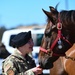 Vandenberg’s Military Working Horses Retire