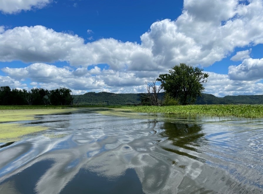 Corps seeks public comments on Big Lake restoration project