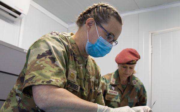 Civil Affairs veterinarian participates in Exercise Shared Accord 22' in South Africa