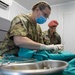 Civil Affairs veterinarian participates in Exercise Shared Accord 22' in South Africa