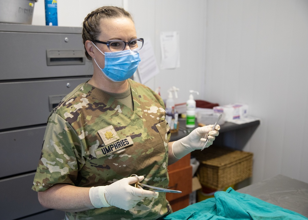 Civil Affairs veterinarian participates in Exercise Shared Accord 22' in South Africa