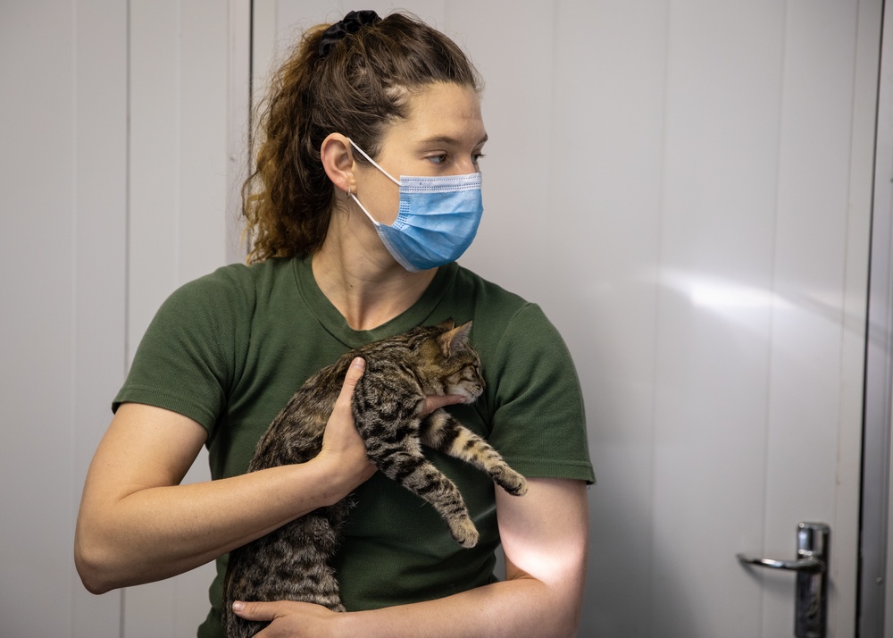 Civil Affairs veterinarian participates in Exercise Shared Accord 22' in South Africa