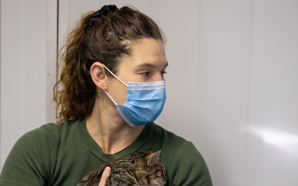 Civil Affairs veterinarian participates in Exercise Shared Accord 22' in South Africa