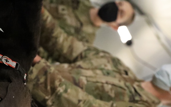 422nd Medical Detachment of Veterinary Services train and teach Joint Forces