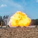 Bilateral Demolition Range