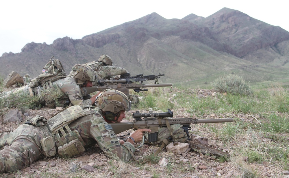 Alpha Company, 1st Battalion, 69th Infantry live fire