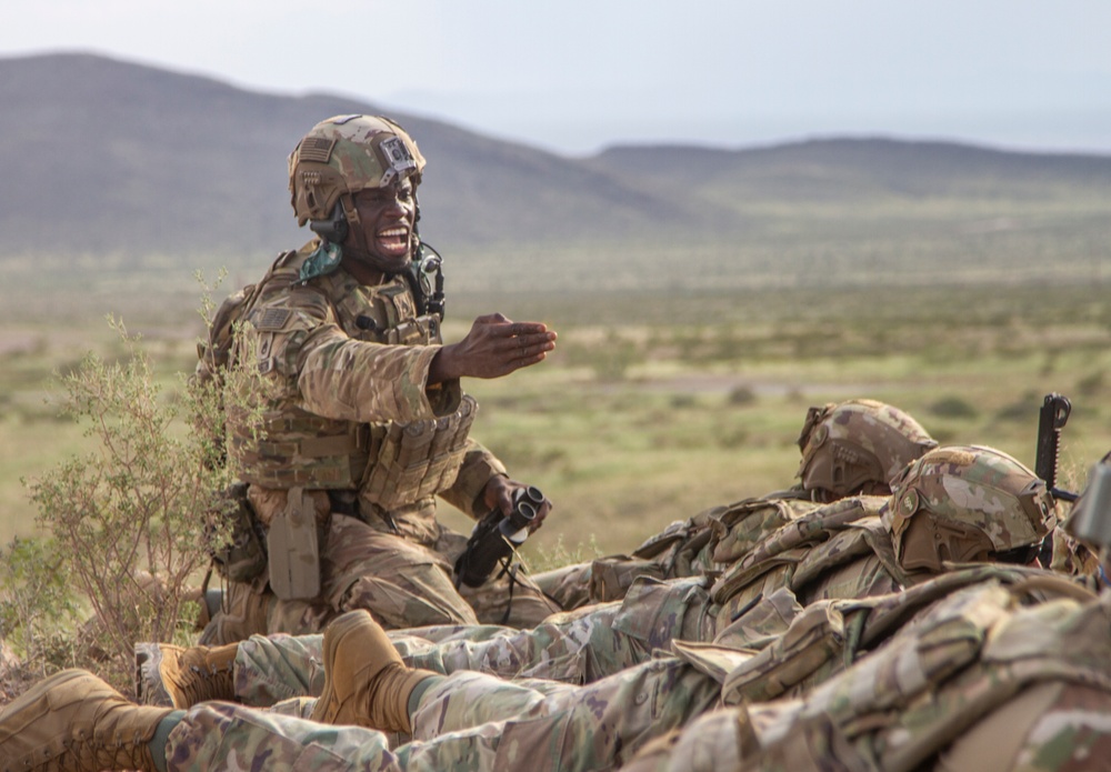 Alpha Company, 1st Battalion, 69th Infantry live fire