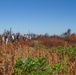 Kansas City District and Northwestern Division personnel at a controlled burn site