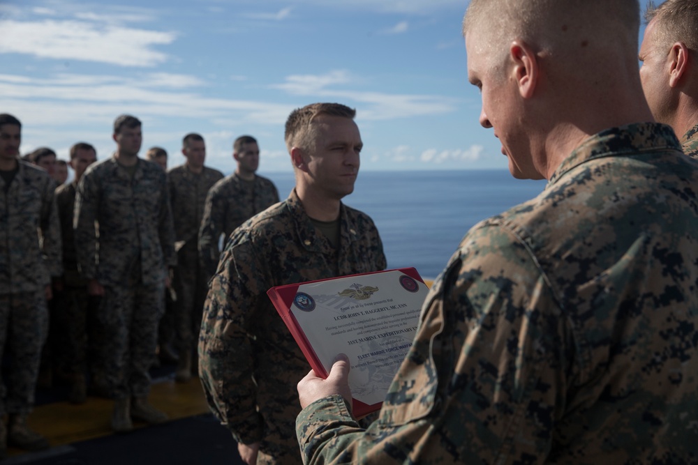 U.S. Navy Lt. Cmdr. John T. Haggerty Receives FMF Pin