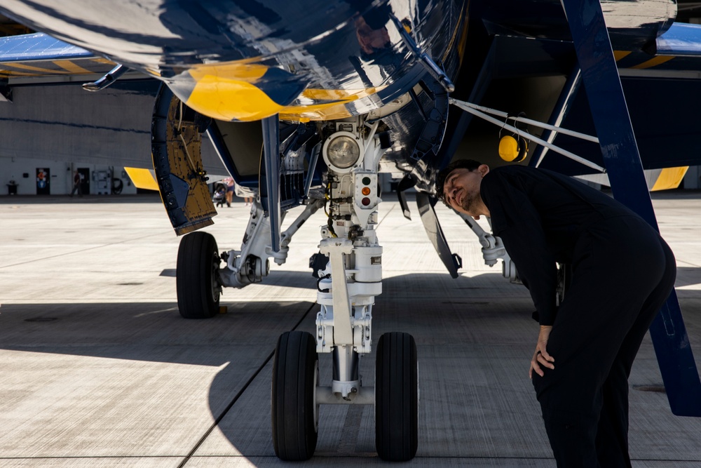 Blue Angels' VIP Rider: Max Holloway