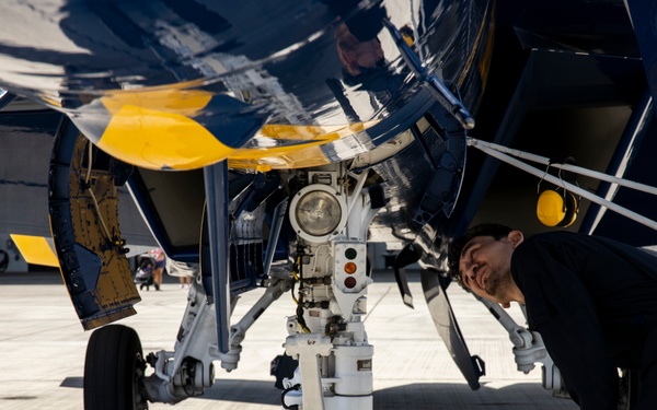 Blue Angels' VIP Rider: Max Holloway