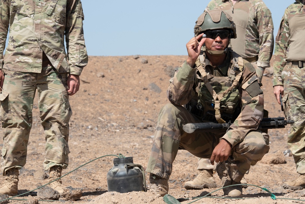 French and U.S. forces partner to conduct an artillery fire support and familiarization exercise.