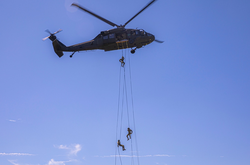 Soldiers rappel from UH-60 Black Hawk During Air Assault