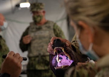 Robot dog prepares medics