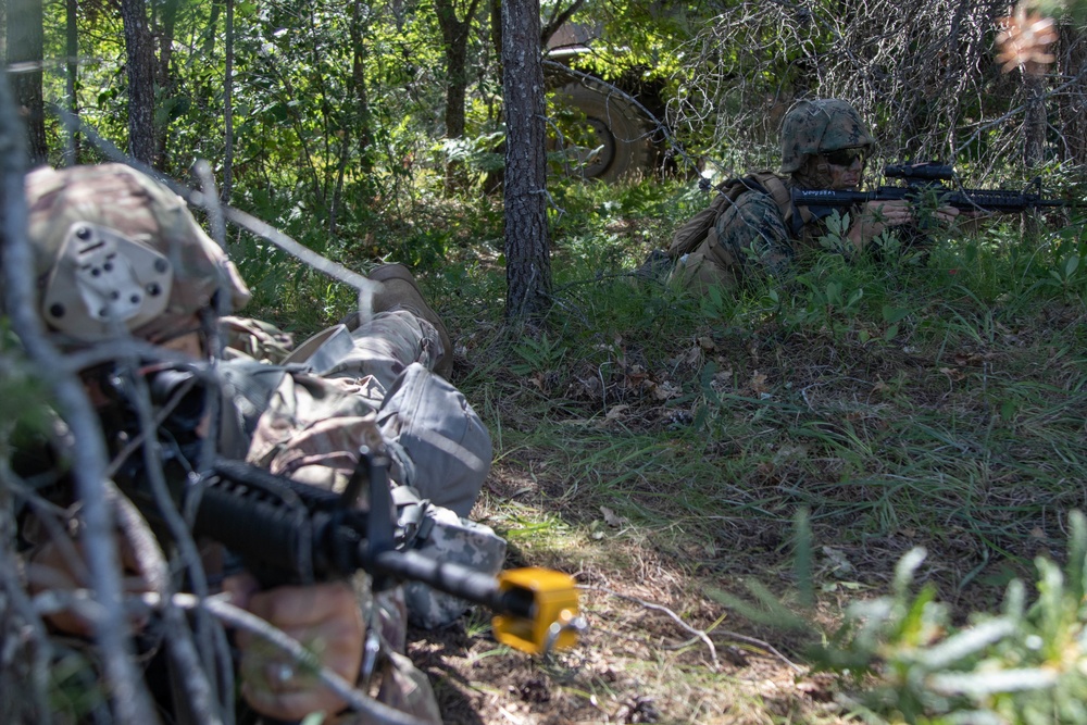 Marines and Army National Guard join forces at Northern Strike