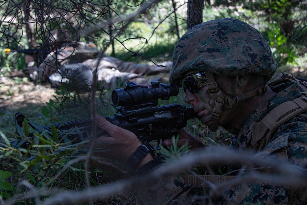 Marines and Army National Guard join forces at Northern Strike