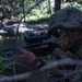 Marines and Army National Guard join forces at Northern Strike