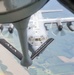 117 ARW ESGR Boss Flight