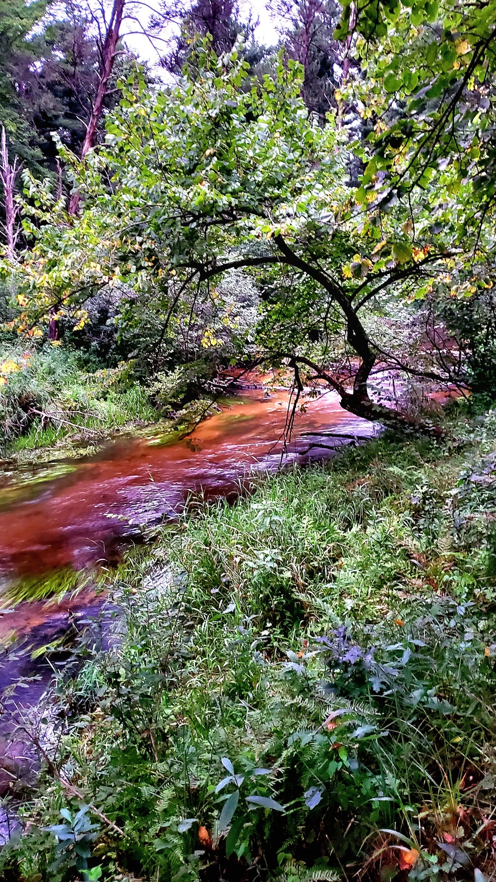 Fort McCoy's Pine View Recreation Area