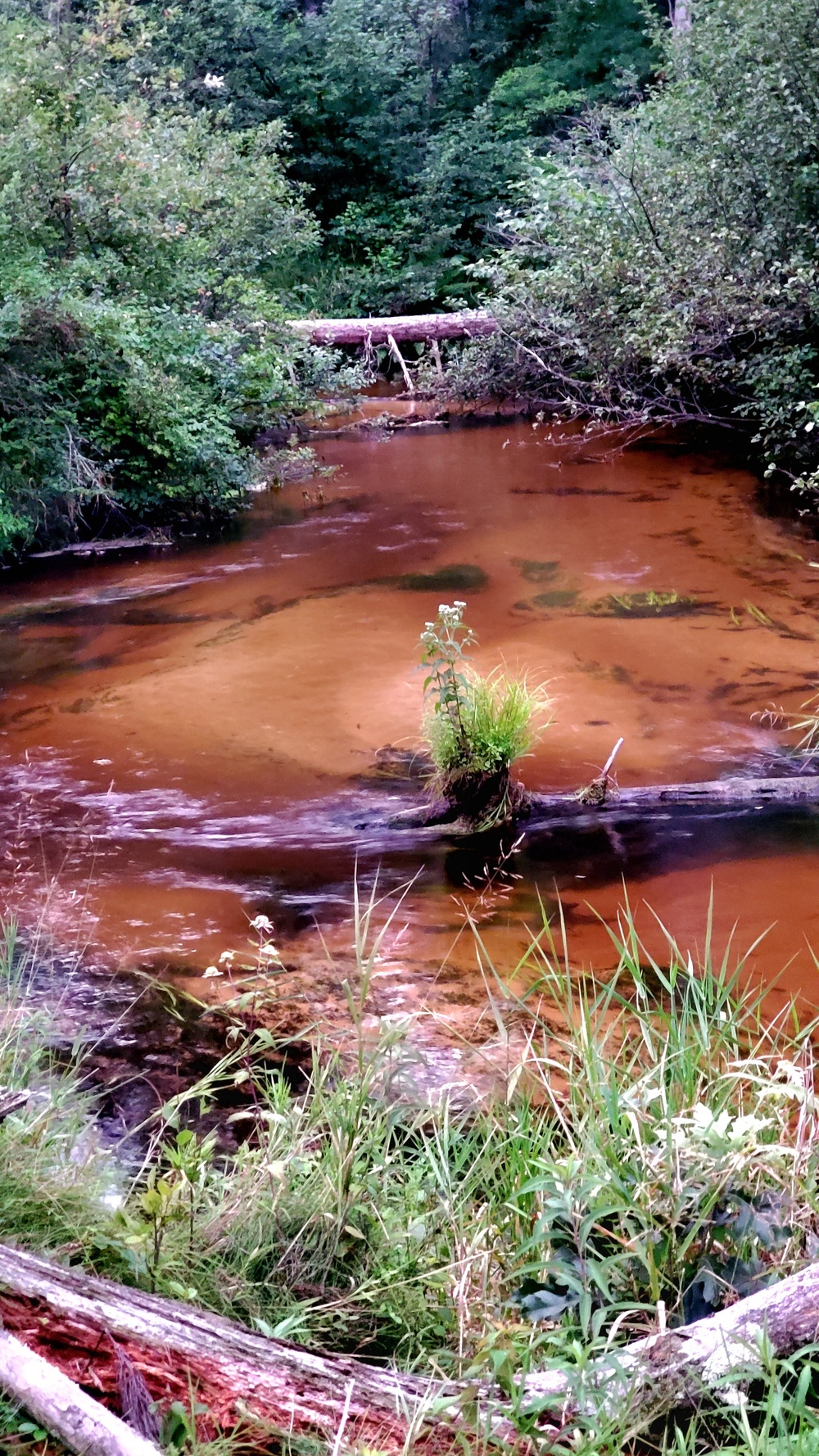 Fort McCoy's Pine View Recreation Area