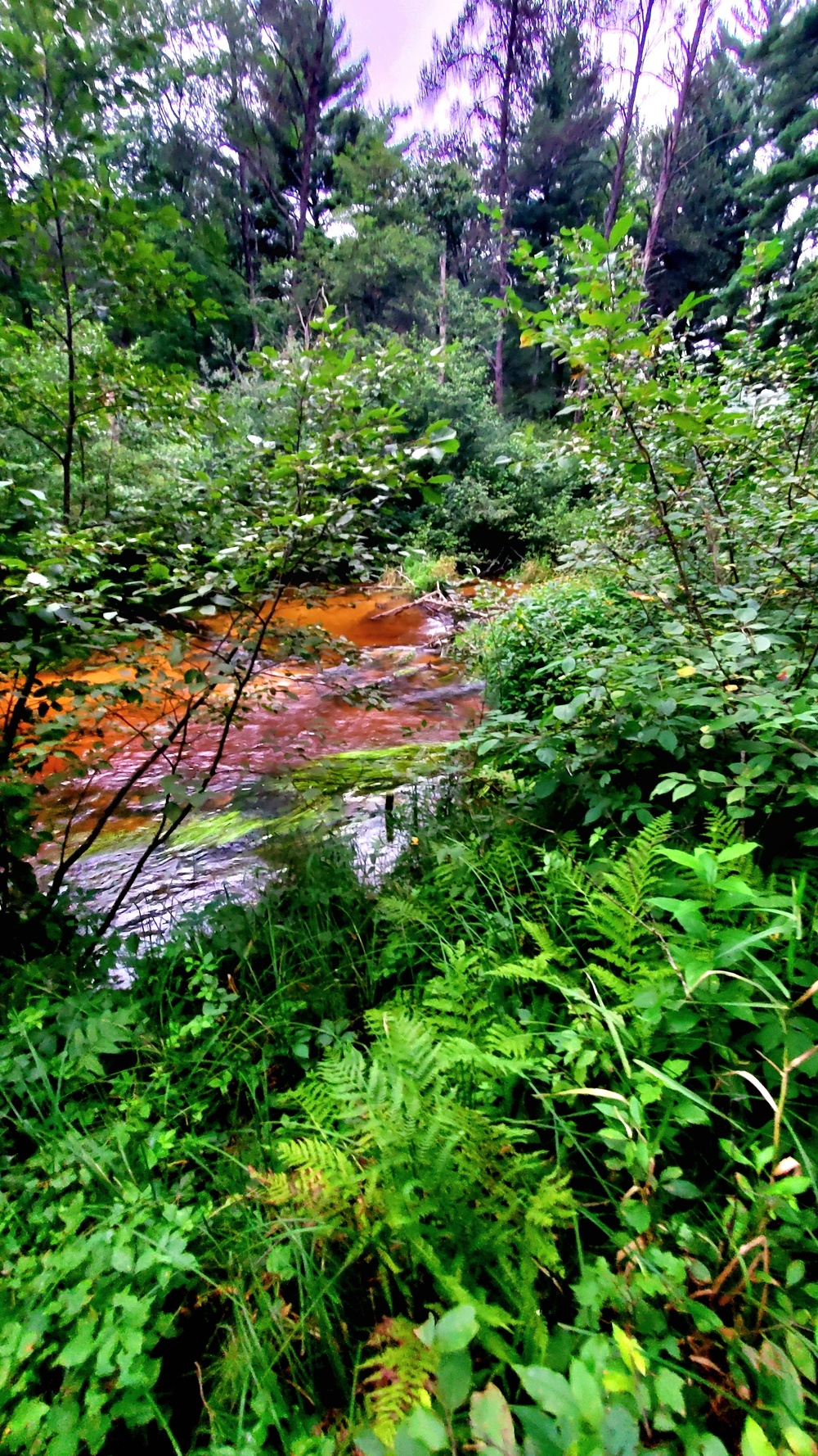 Fort McCoy's Pine View Recreation Area