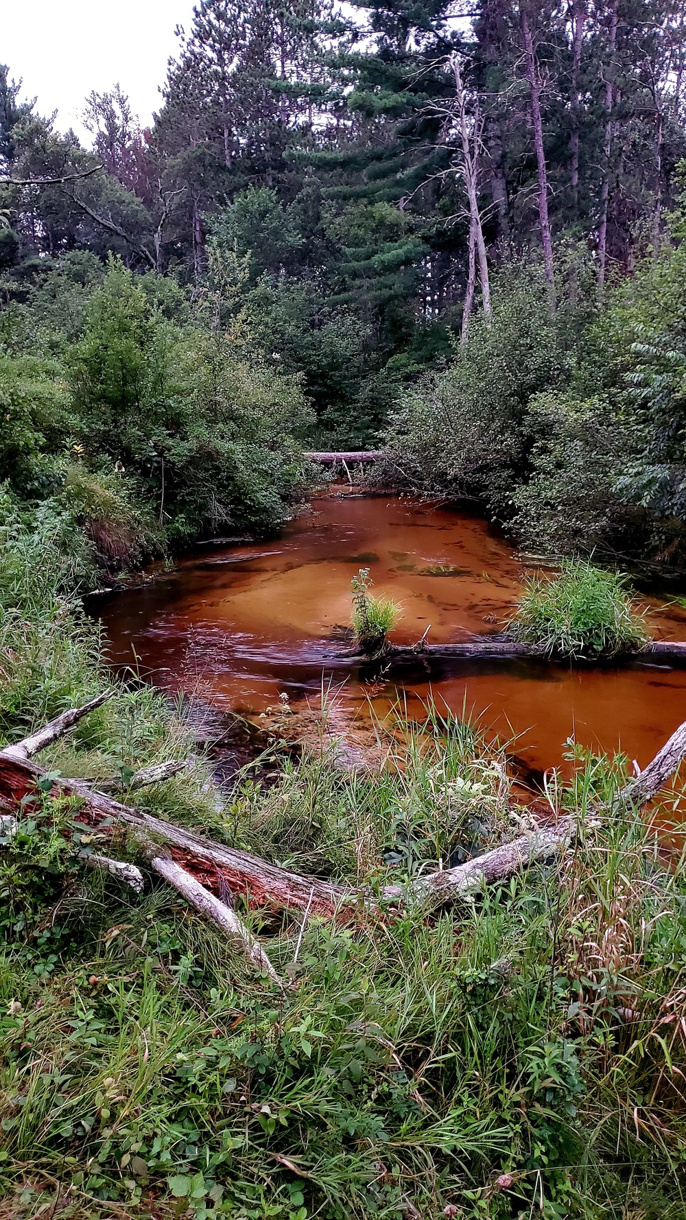 Fort McCoy's Pine View Recreation Area