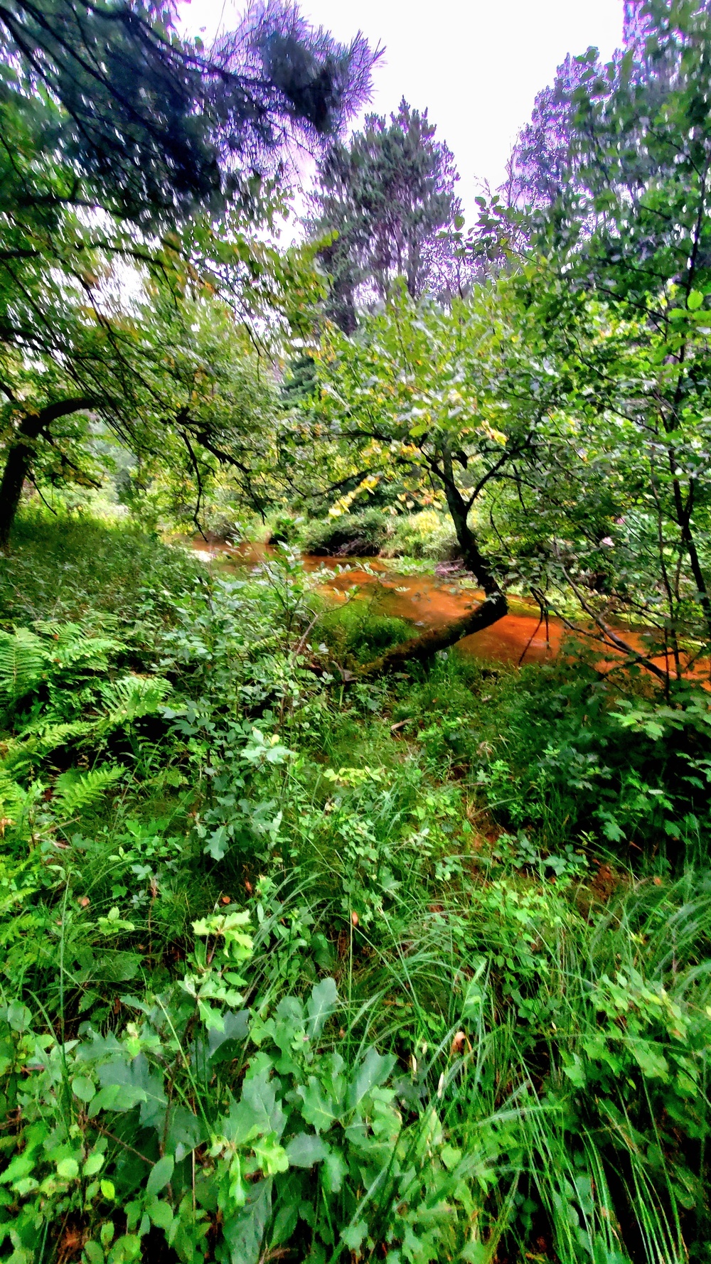 Fort McCoy's Pine View Recreation Area