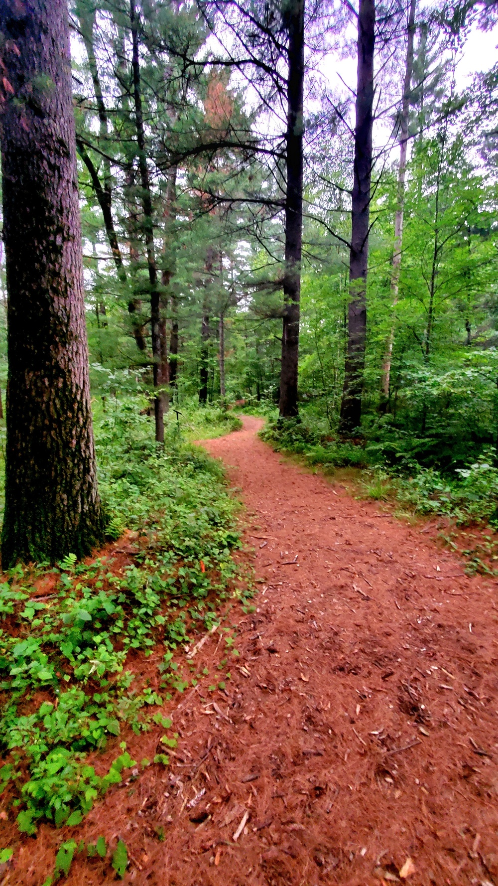 Fort McCoy's Pine View Recreation Area