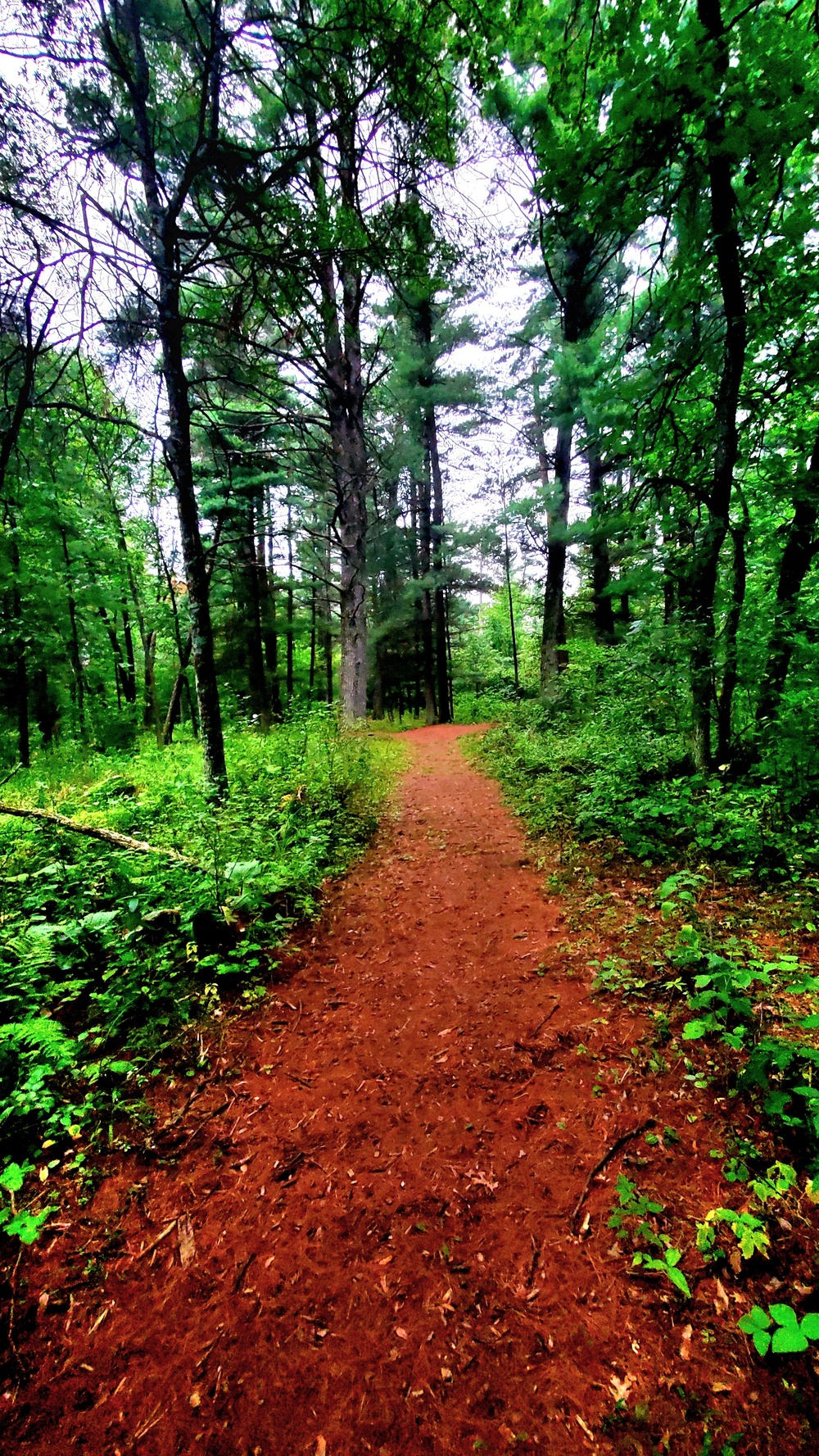 Fort McCoy's Pine View Recreation Area