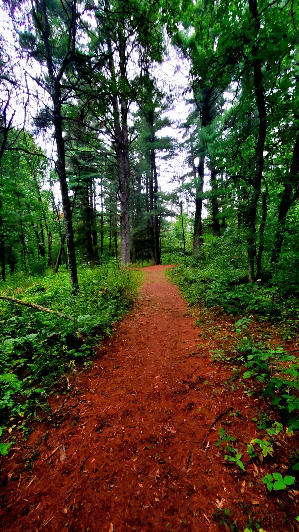 Fort McCoy's Pine View Recreation Area