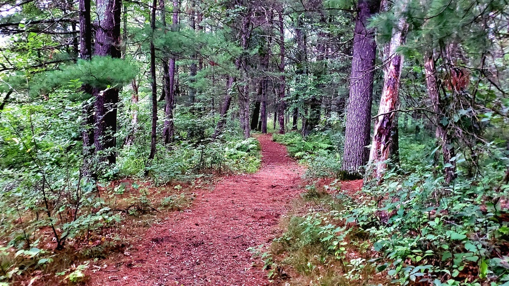 Fort McCoy's Pine View Recreation Area