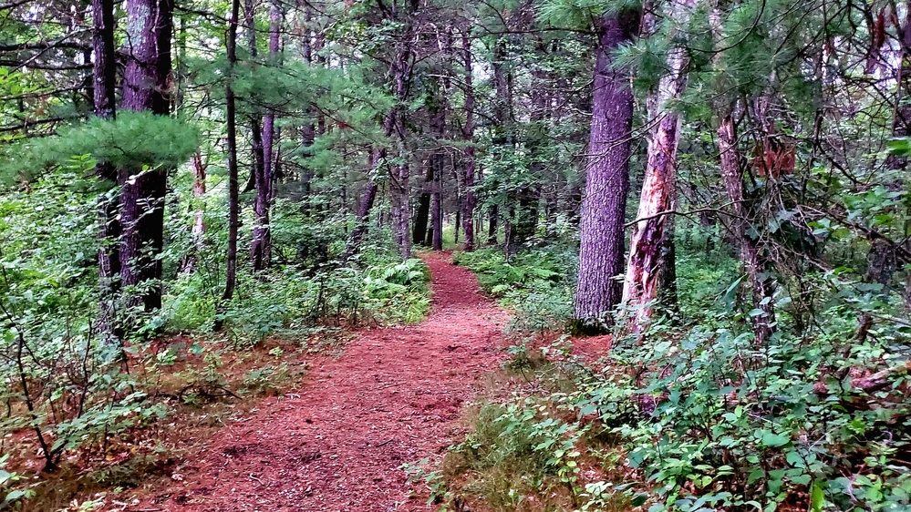 Fort McCoy's Pine View Recreation Area