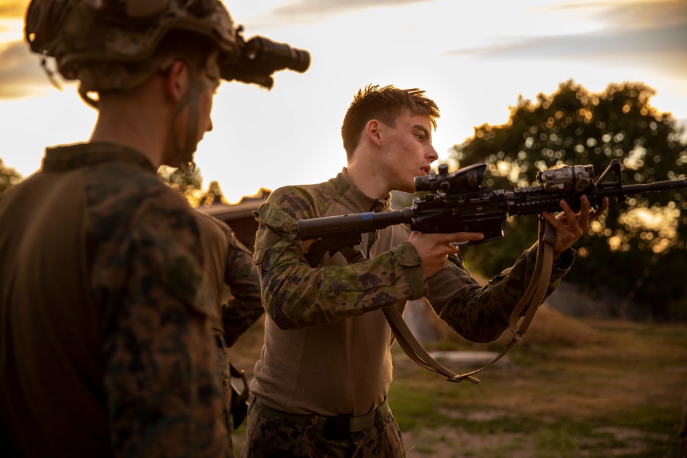 U.S., Finland Bilateral NVG Training