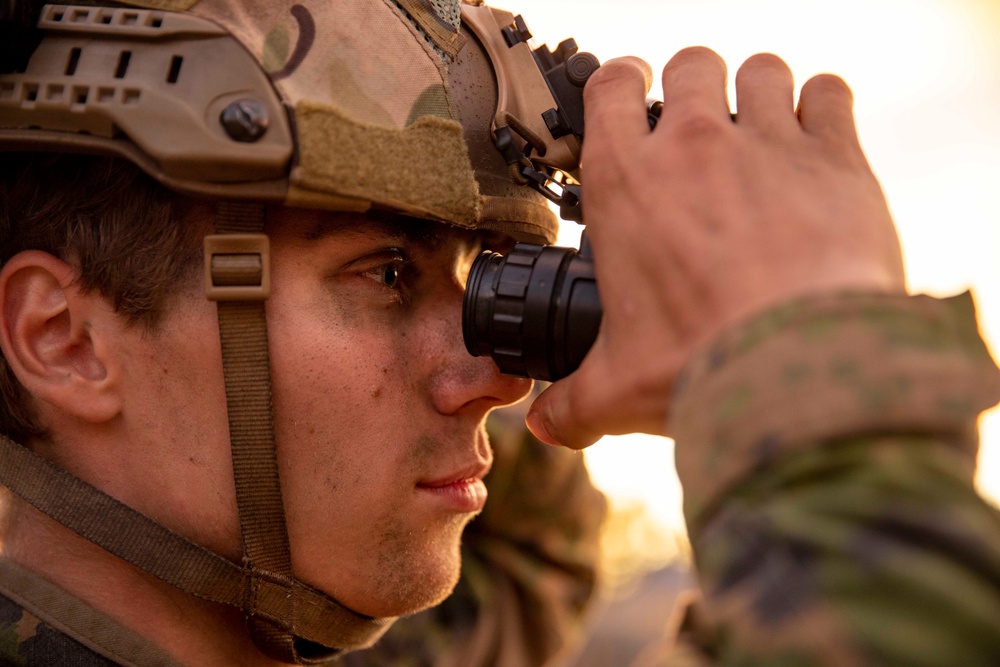 U.S., Finland Bilateral NVG Training