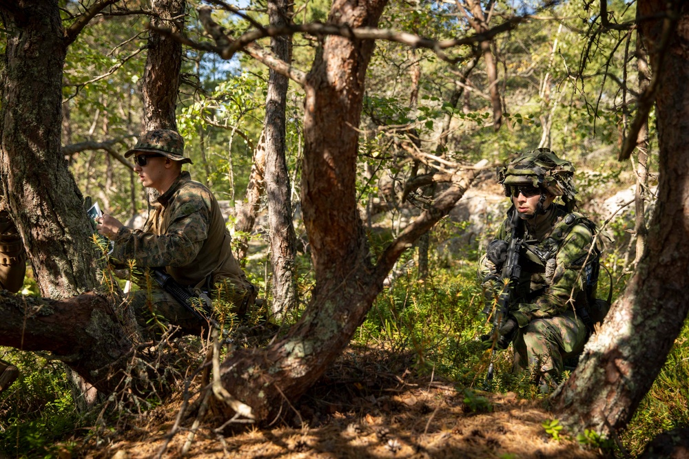 U.S., Finland Bilateral Training