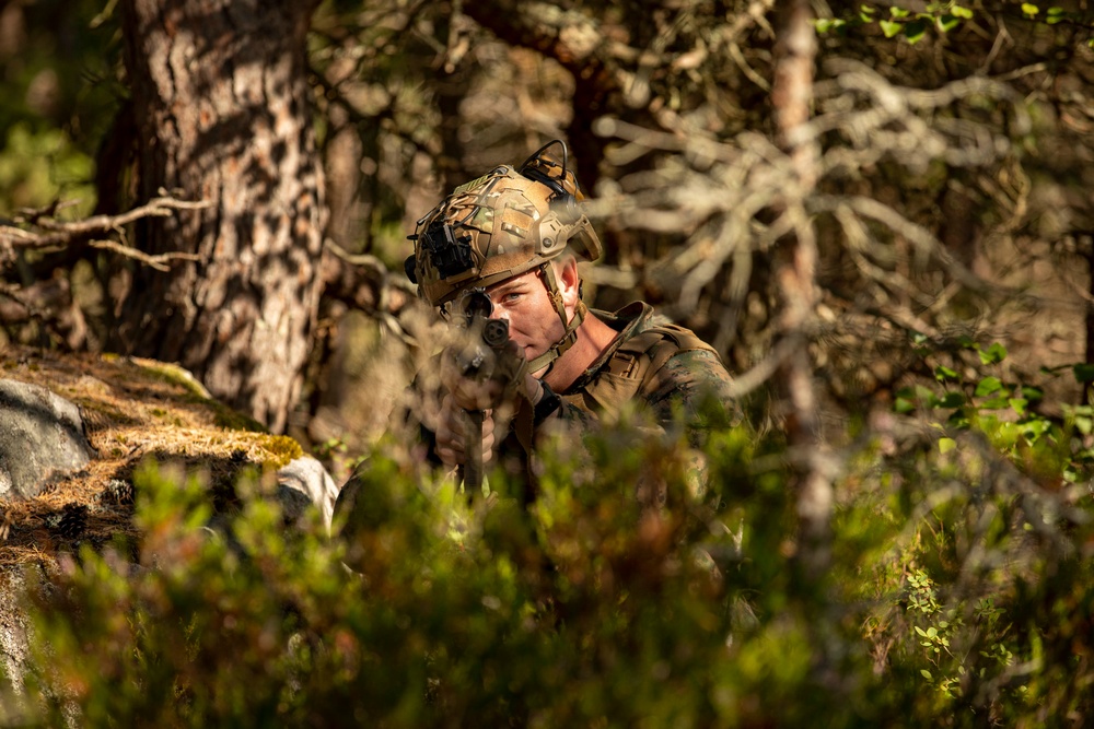 U.S., Finland Bilateral Training