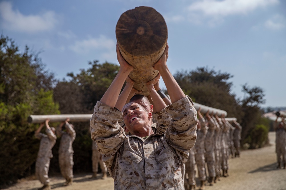 Lima Company Log Drills