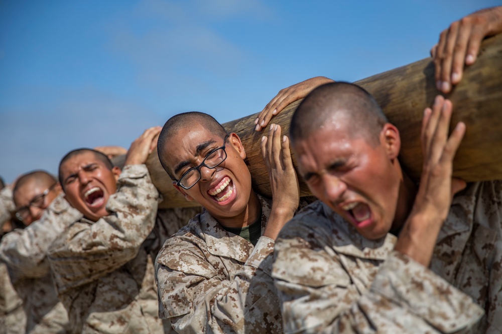 Lima Company Log Drills