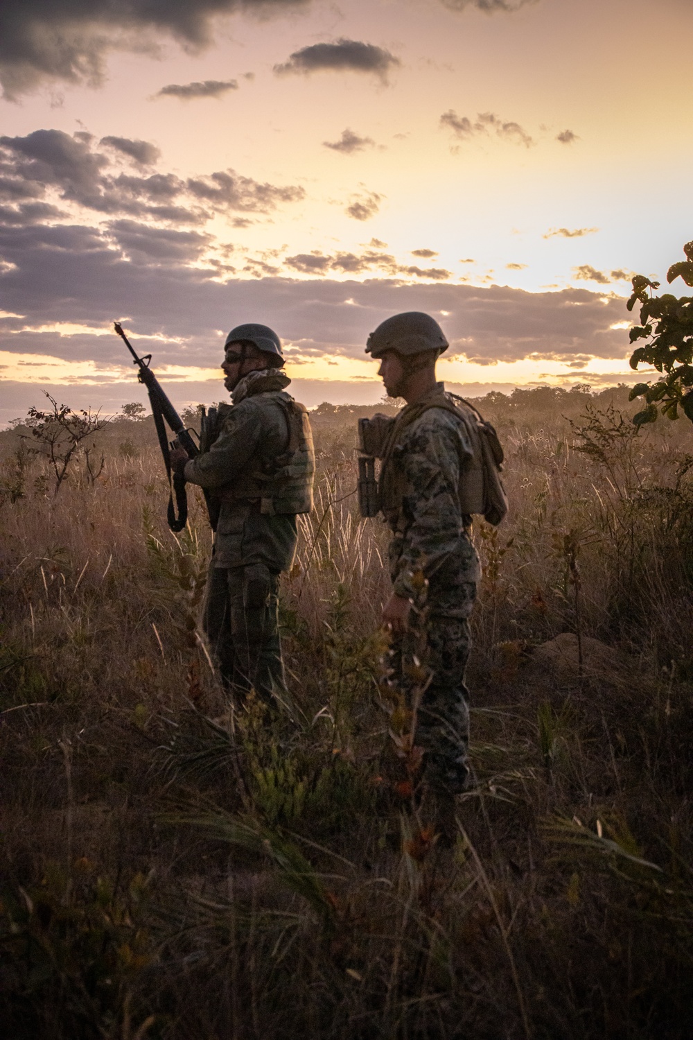 Brazil Exercise Formosa: Live Fire and Maneuver Range