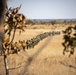 Brazil Exercise Formosa: Field Exercise