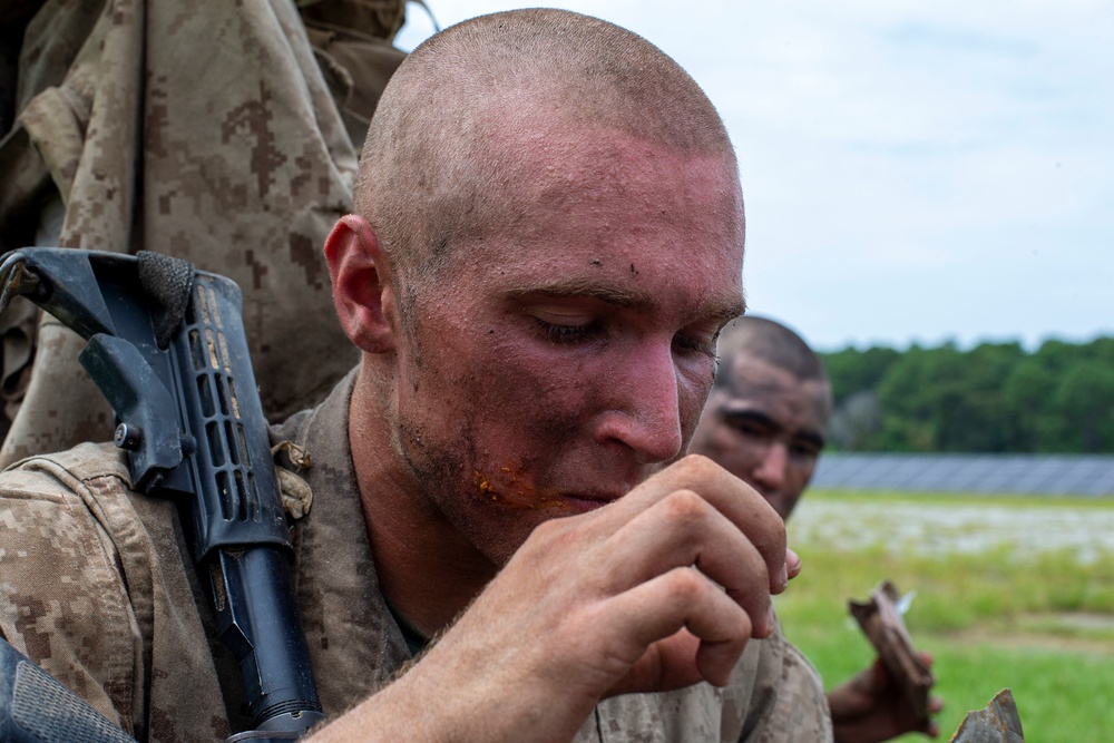 Delta Company Crucible