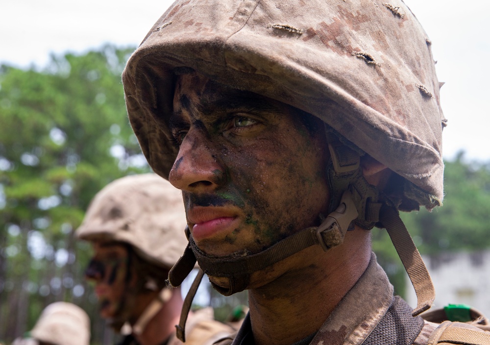 Delta Company Crucible